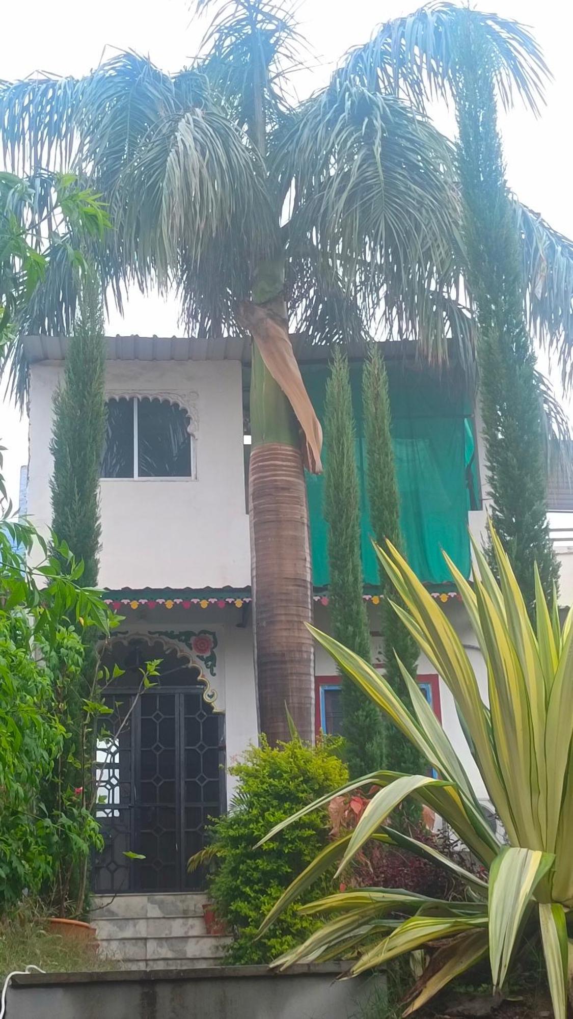 Mohan Villa Guest House Udaipur Kültér fotó
