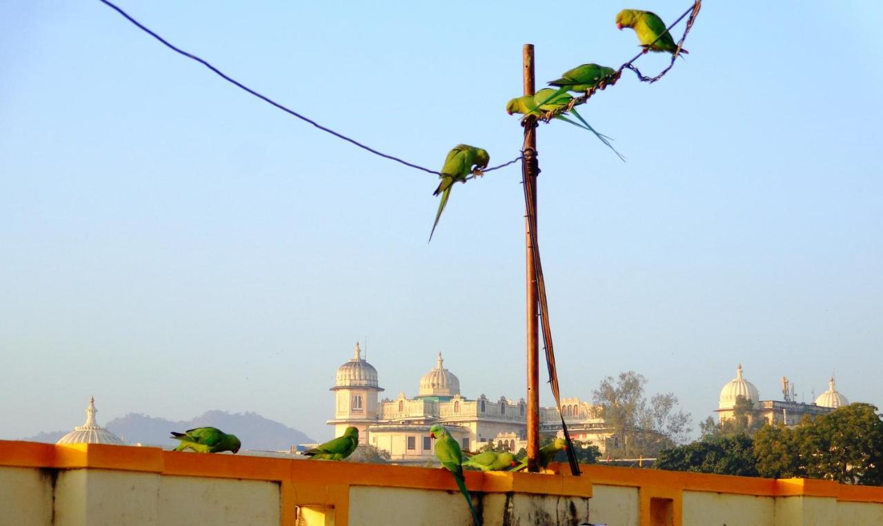 Mohan Villa Guest House Udaipur Kültér fotó