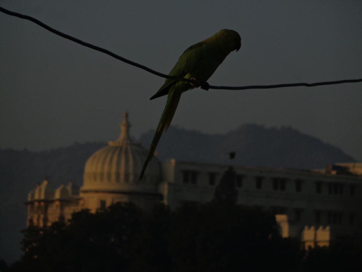 Mohan Villa Guest House Udaipur Kültér fotó